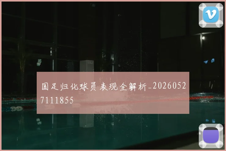国足归化球员表现全解析_20260527111855