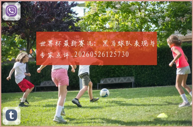 世界杯最新赛况:黑马球队表现与专家点评_20260526125730