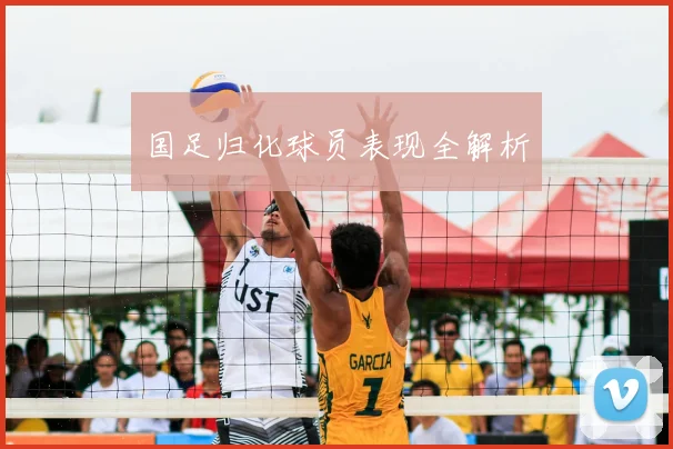 国足归化球员表现全解析